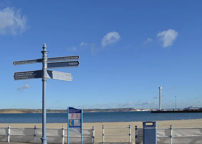 Seagulls Lookout