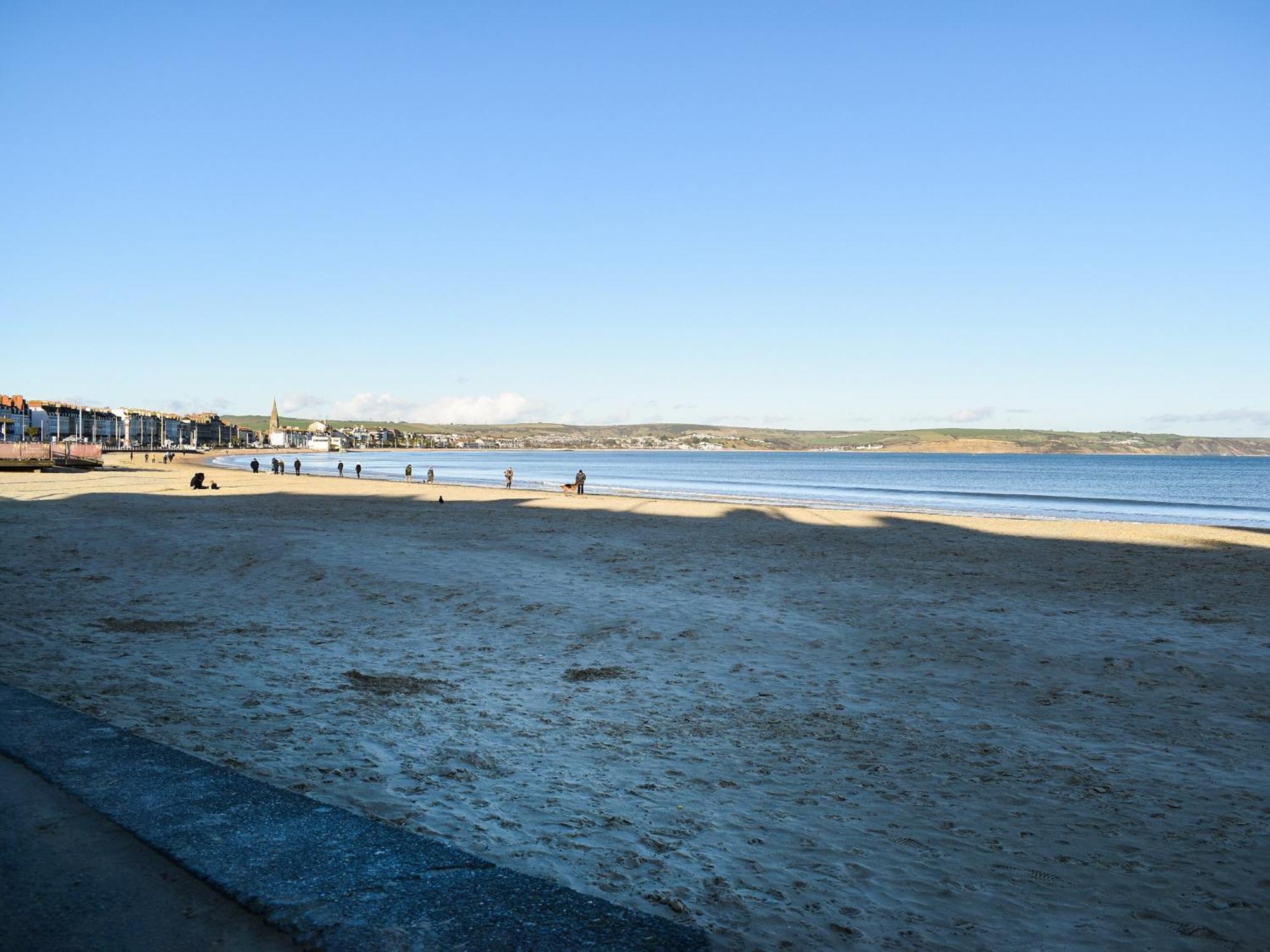 Seagulls Lookout Weymouth